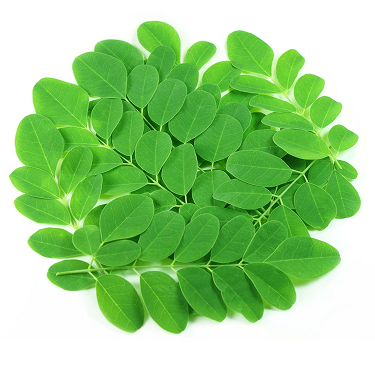 Moringa