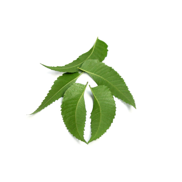 Neem