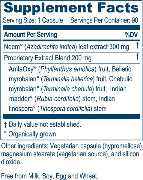 Ayush Herbs, Neem Plus, 90 vcaps