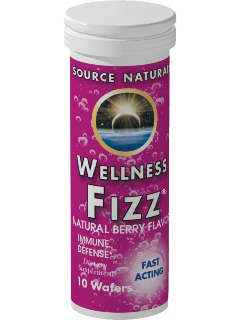 Source Naturals, Wellness Fizz Tangerine Flavor, 10 wafers